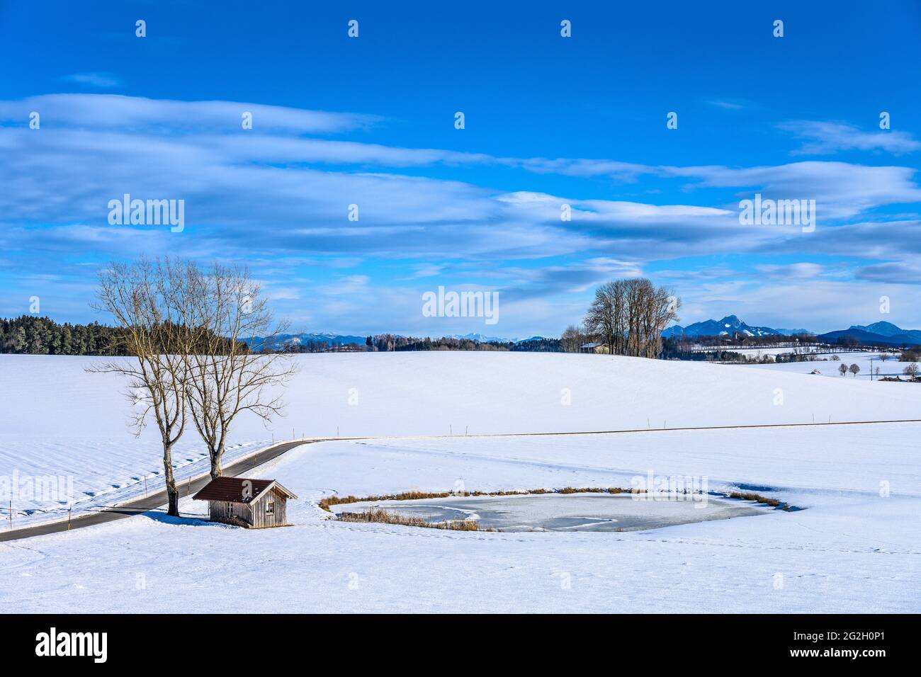 Deutschland, Bayern, Oberbayern, Tölzer Land, Dietramszell, Bezirk Baiernrain, Winterlandschaft gegen Alpenkette Stockfoto