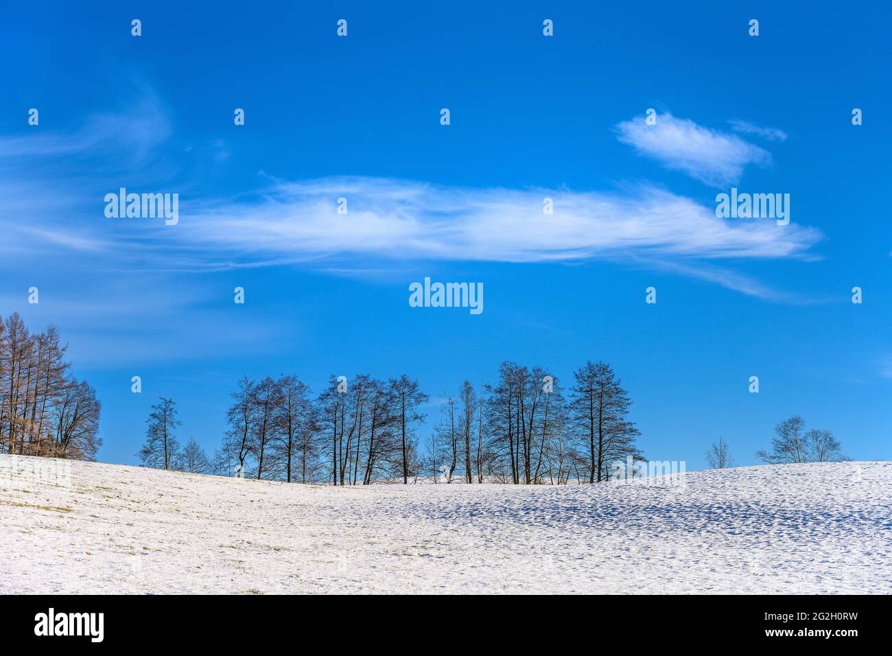 Deutschland, Bayern, Oberbayern, Tölzer Land, Dietramszell, Ried, Winterlandschaft Stockfoto