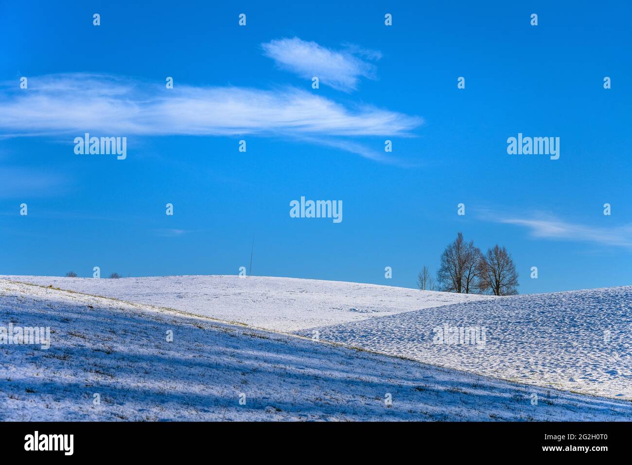 Deutschland, Bayern, Oberbayern, Tölzer Land, Dietramszell, Ried, Winterlandschaft Stockfoto