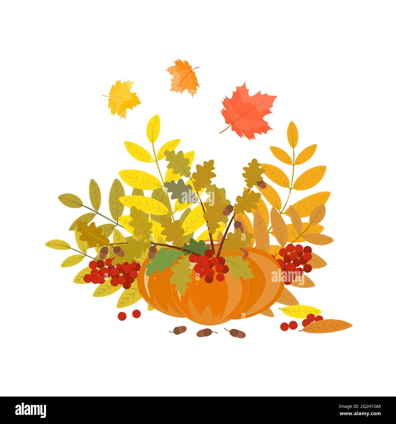 Herbstlicher Strauß von Ebereschen, Eiche, Ahornblättern und Eicheln in einem Kürbis. Ein Element der Innenarchitektur, Postkarte, Flyer oder Poster. Vektorgrafik Stock Vektor
