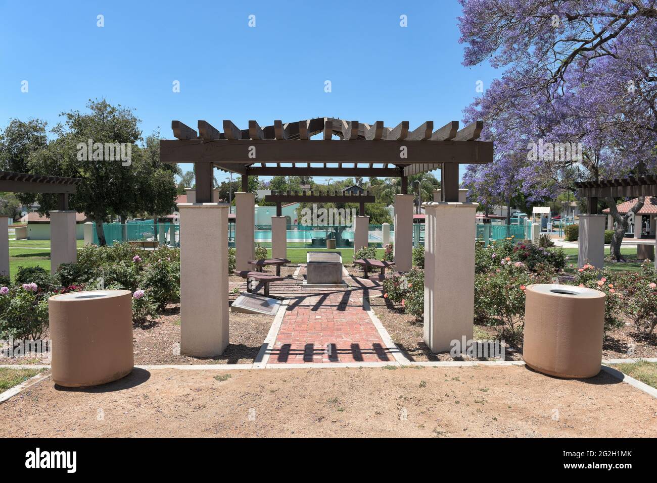 BREA, KALIFORNIEN - 9 JUN 2021: Der Rosengarten mit dem Sprung in den Hintergrund im City Hall Park. Stockfoto