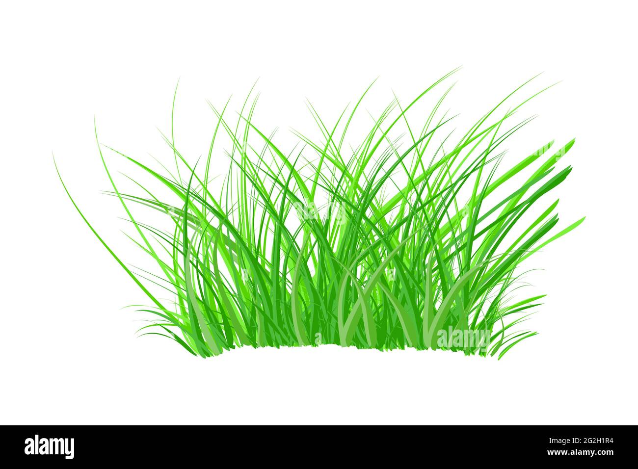 Grasbüschel isoliert auf weißem Hintergrund. Frühlingsbusch mit frischem Gras. Grünes dickes Unkraut. Großer Stoßsack. Gestalterisches Element der Natur. Vektorgrafik Stock Vektor
