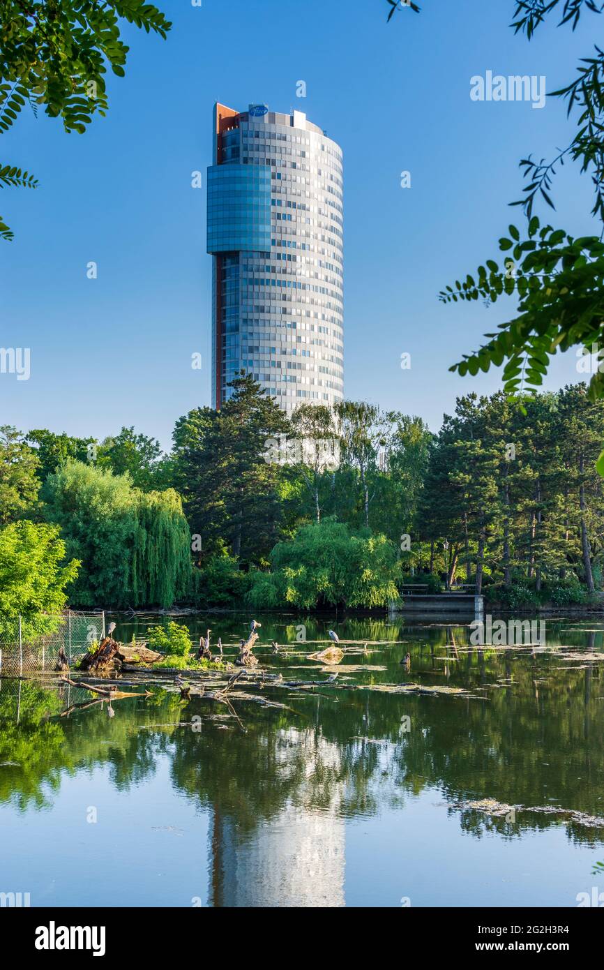 Wien, Wien: Florido Tower, Graureiher (Ardea cinerea), See im Park Wasserpark im Jahr 21. Floridsdorf, Wien, Österreich Stockfoto