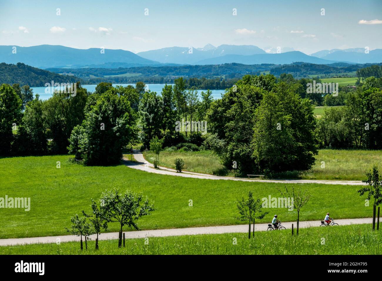 Tachinger See, Waginger See, Rupertiwinkel, Oberbayern, Bayern, Deutschland Stockfoto