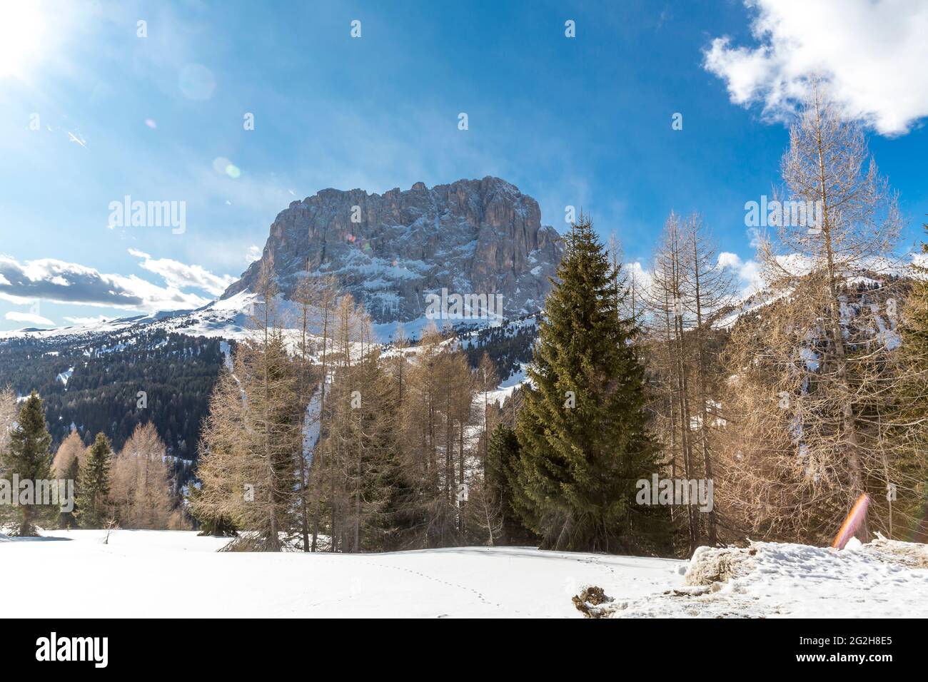 Langkofel, 3181 m, im Rücklicht, Grödner Joch, Sellaronda, Südtirol, Südtirol, Dolomiten, Italien, Europa Stockfoto