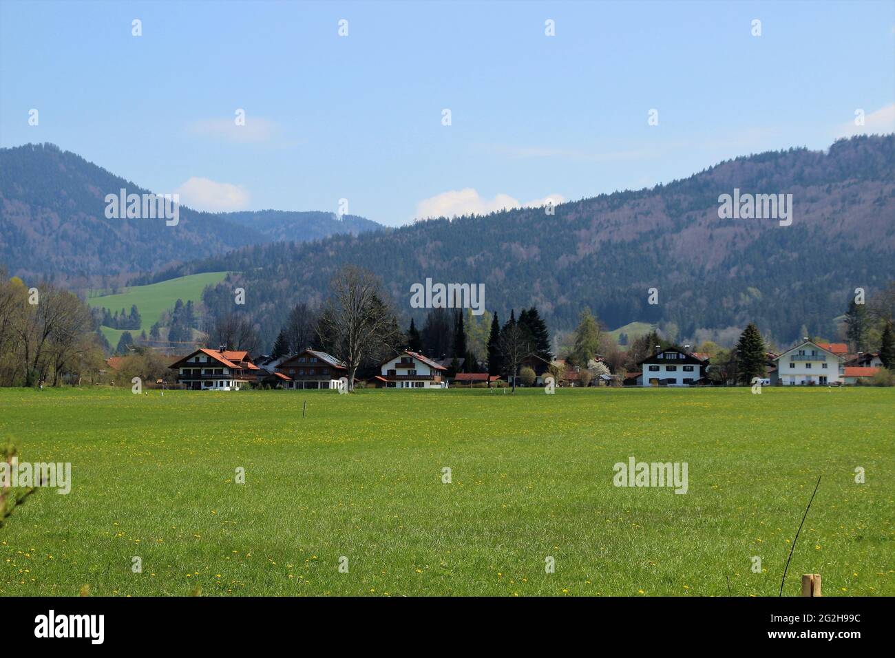 Elandelionenwiese bei Benediktbeuern, Blick auf die Stadt, blauer Himmel, Deutschland, Bayern, Oberbayern, Tölzer Land, Blick auf die Stadt, Häuserzeile, Siedlung, Immobilien, Immobilienmarkt, Immobilienspekulation, Handel Stockfoto