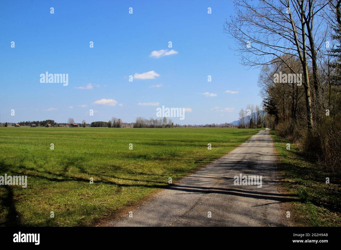 Radweg, Wälder im Loisach-Kochelsee-Moor, eine 3600 Hektar große Niedermoorlandschaft bestehend aus hoch- und Hochmooren auf der Loisach in Oberbayern, Naturschutz. Der Großteil des Gebiets ist sowohl als FFH- als auch als Vogelschutzgebiet ausgewiesen. Deutschland, Bayern, Oberbayern, Gebiet zwischen Kochel und Benediktbeuern, Großweil, Radweg, Stockfoto