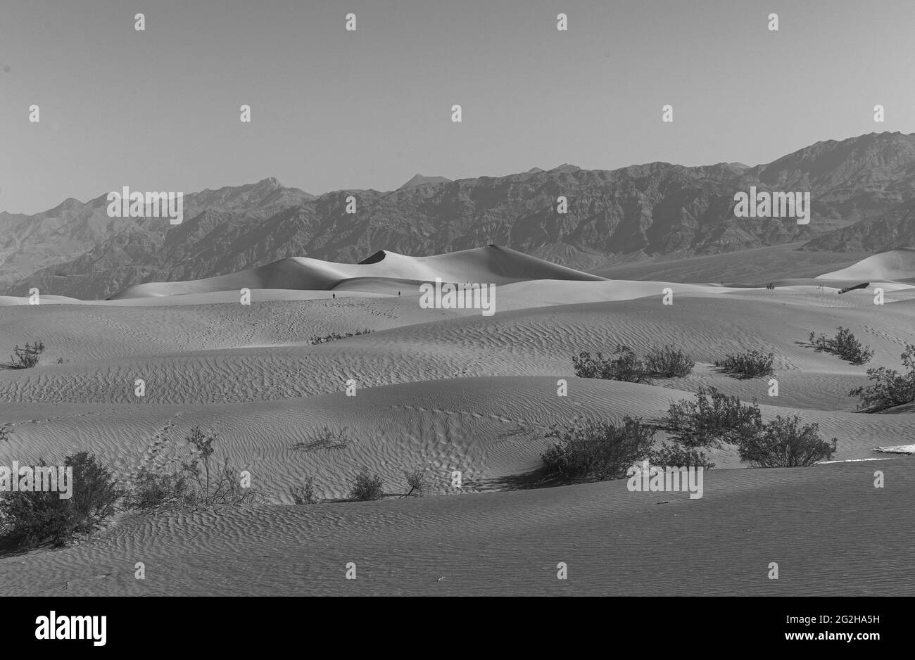 Tagsüber in den Mesquite Flat Sand Dunes im Death Valley National Park, Kalifornien, USA Stockfoto