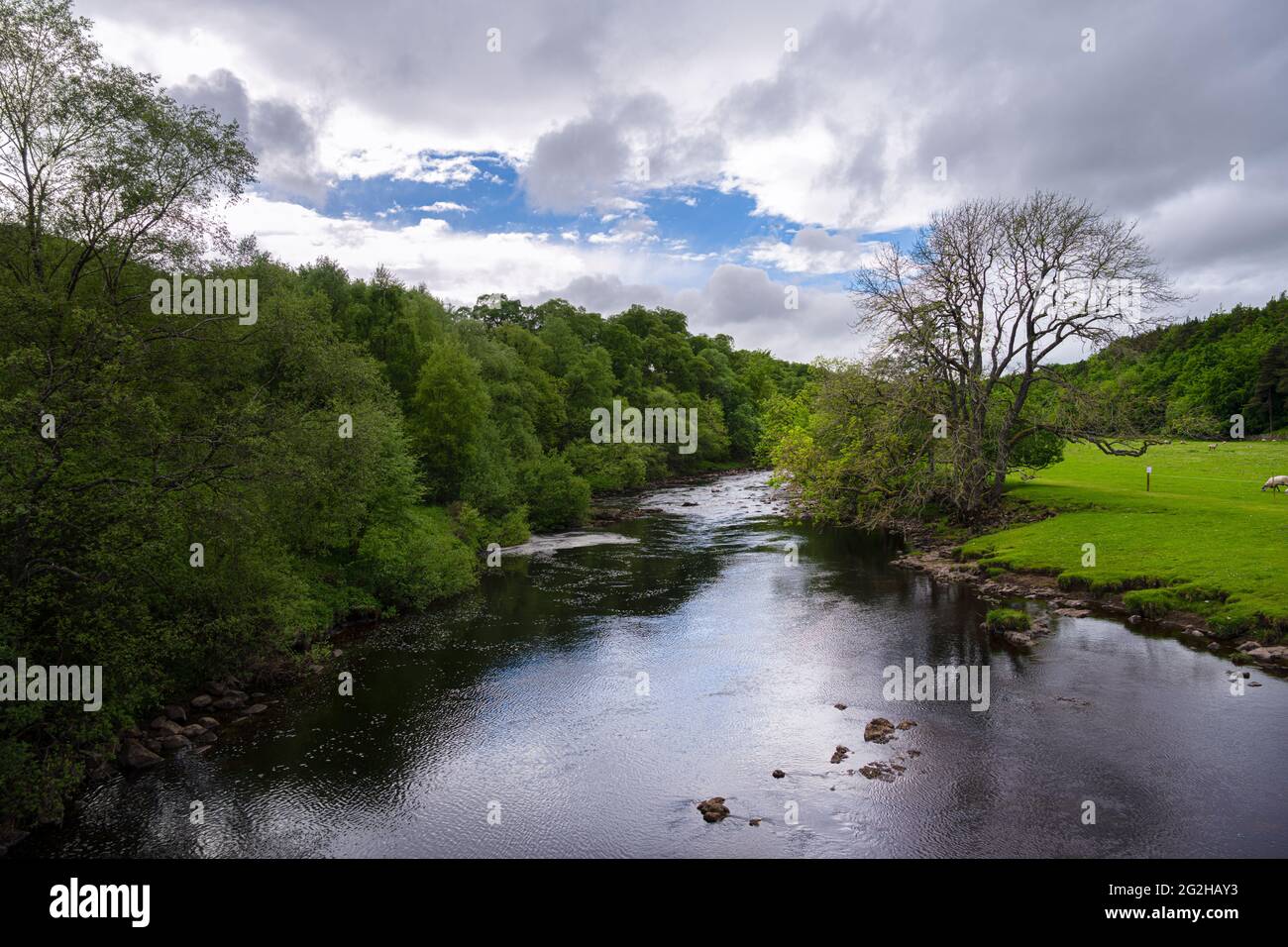 Blick auf den Tees-Fluss in der Grafschaft Durham, England, im Frühjahr Stockfoto