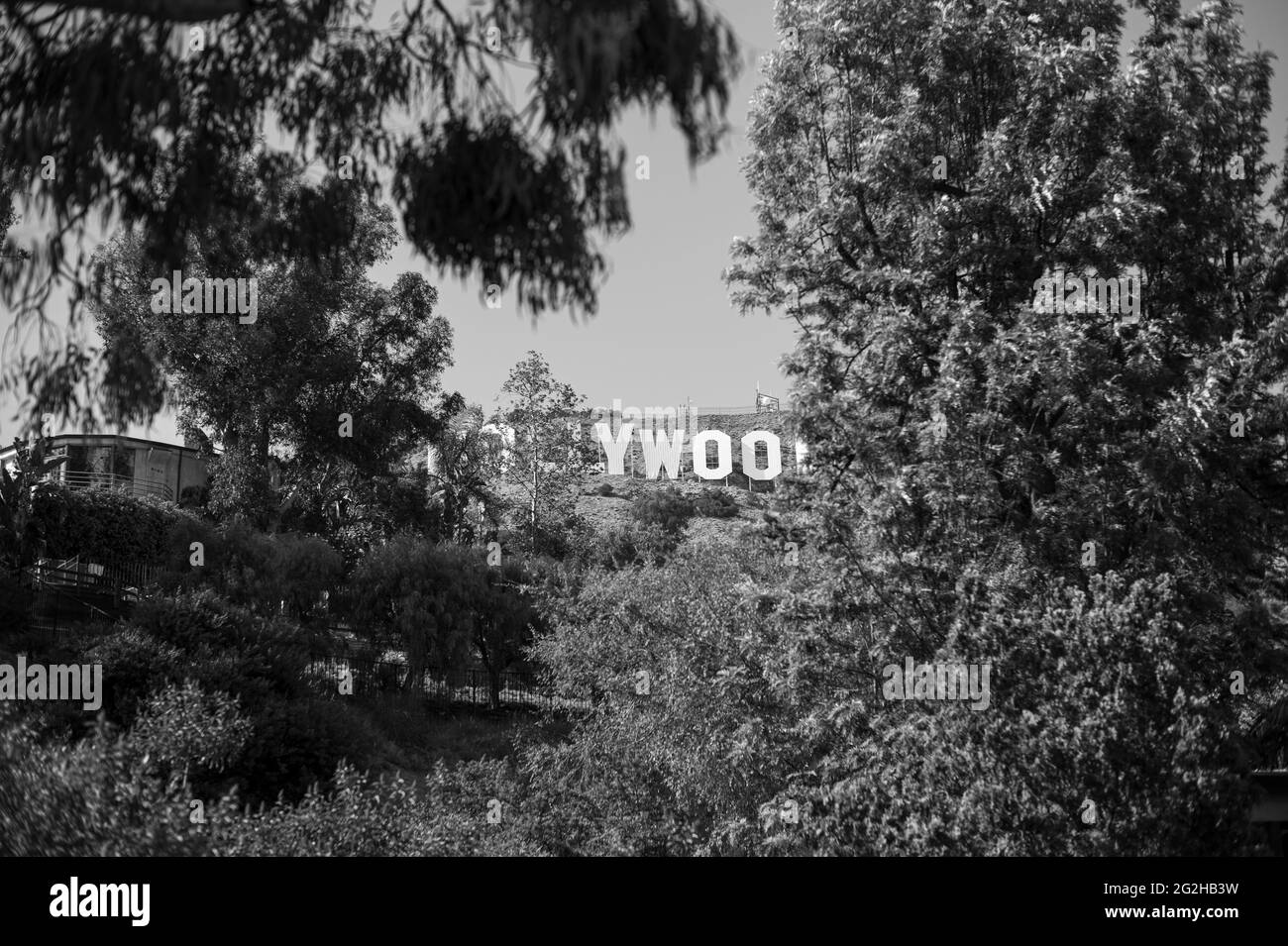 Szene in Hollywood, Los Angeles, Kalifornien, USA Stockfoto