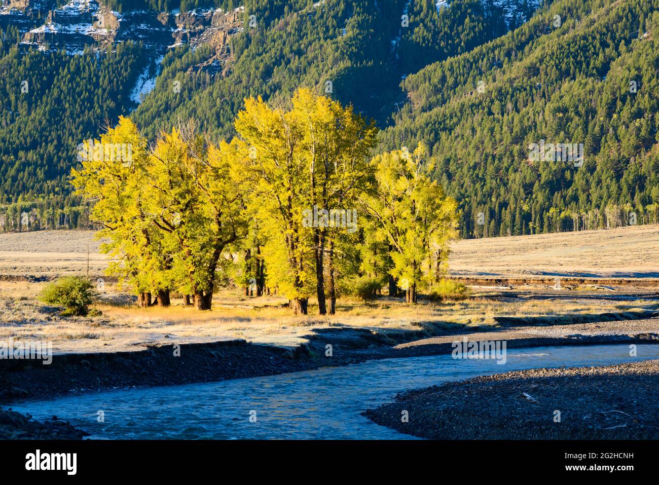 Die Morgensonne fegt durch das Lamar Valley in der nordöstlichen Ecke des Yellowstone National Park in Wyoming. Im Vordergrund fließt der Fluss Lamar Stockfoto