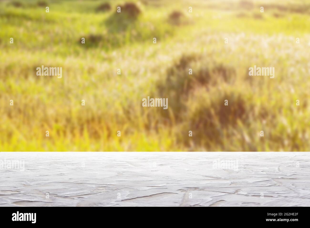 Weiße strukturierte Oberfläche vor einem Hintergrund von verschwommener Lichtung mit Gras und Sonnenlicht Stockfoto