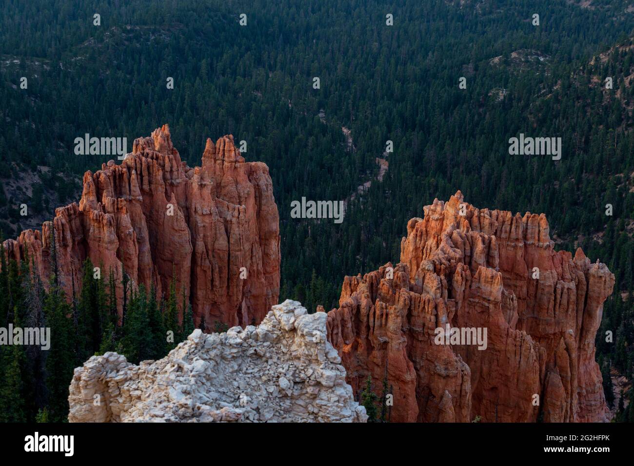 Rainbow Point - ein Gipfel im Nationalpark mit roten und rosa Klippen und Felsformationen, Fichten- und Tannenwald und Wanderwegen. Bryce Canyon National Park, Utah, USA Stockfoto