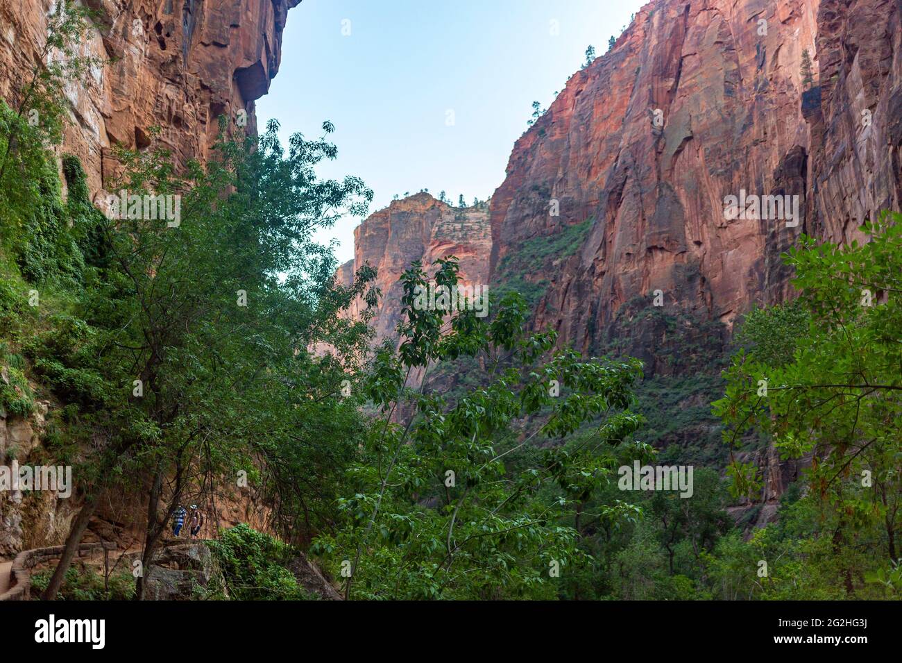 Riverside Walk Trail im Zion National Park, Utah, USA Stockfoto