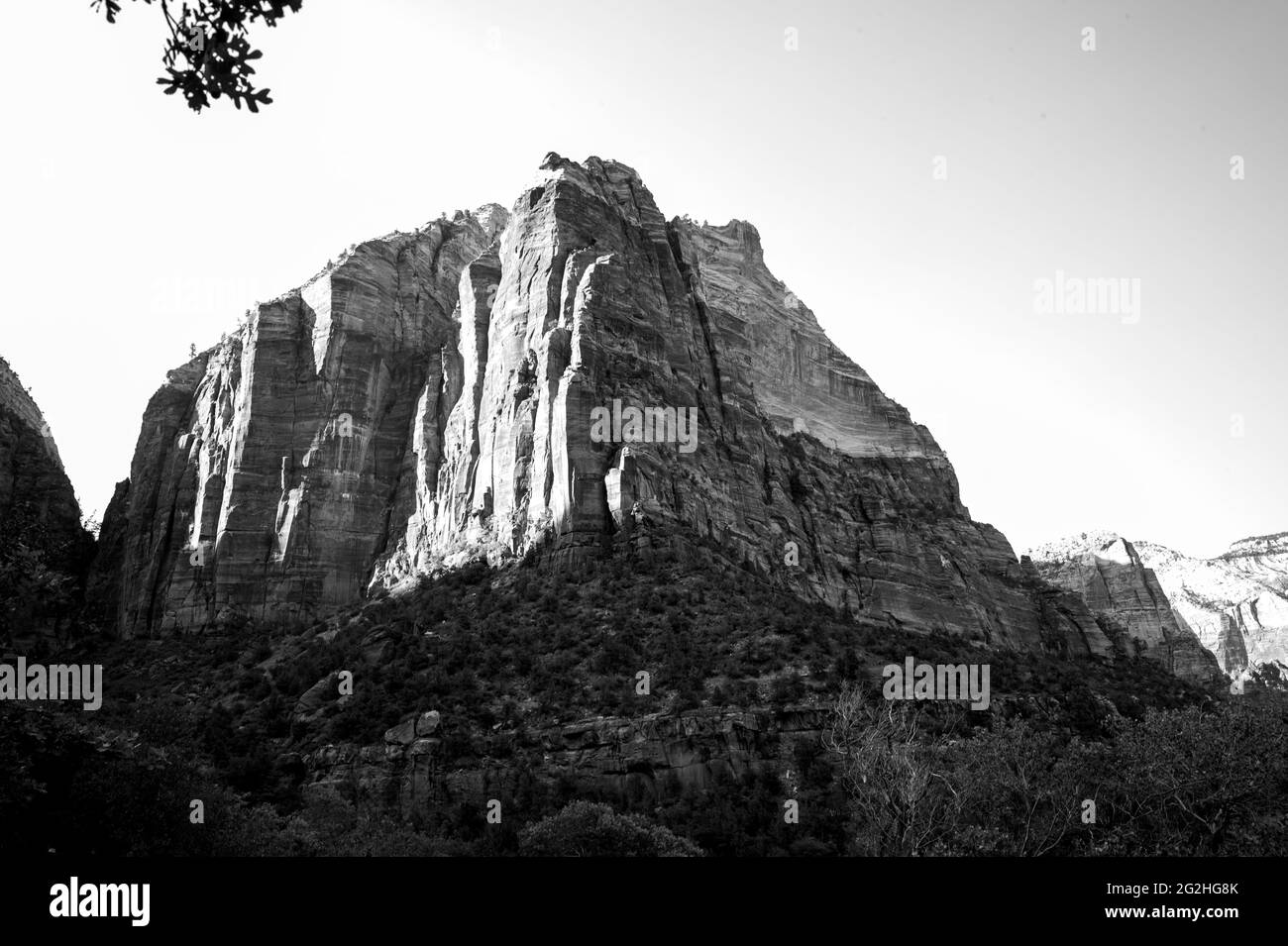 Ein großer Felsen im Zion National Park, Utah, USA Stockfoto