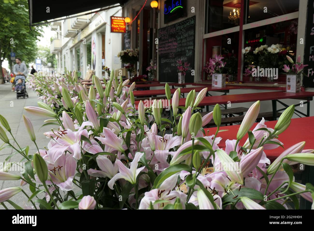 Libanesisches Restaurant mit Lilien, Kastanienalle, Prenzlauer Berg, Berlin Mitte, Berlin, Deutschland Stockfoto