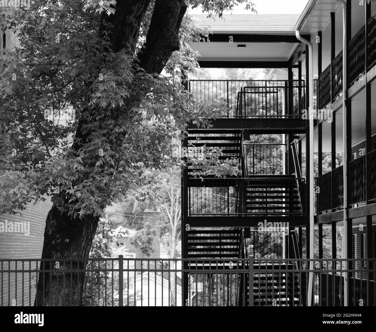 Appartementhaus Außentreppe und Baum mit Zaun in schwarz und weiß Stockfoto