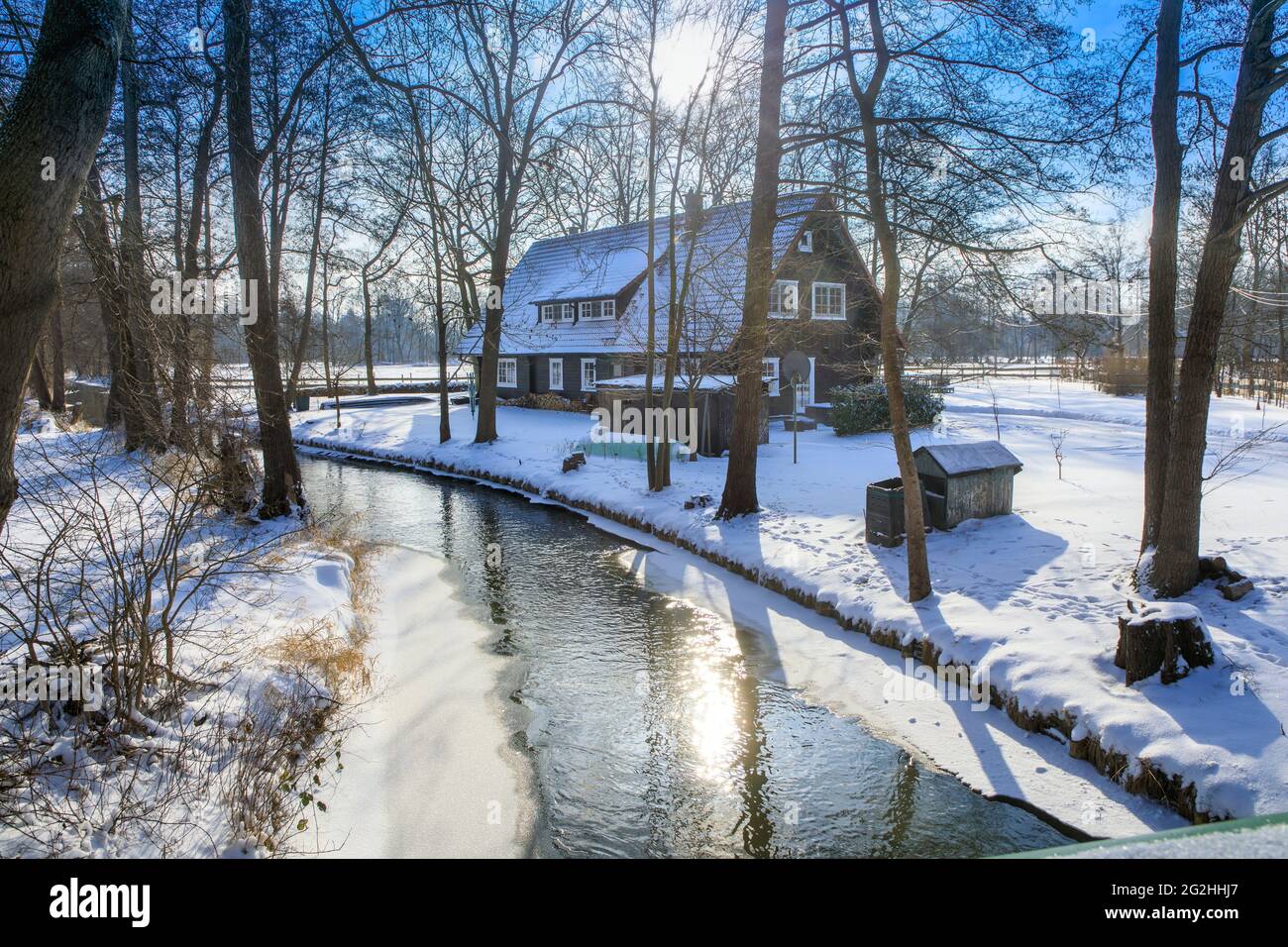 Winterruhe im Spreewald Stockfoto