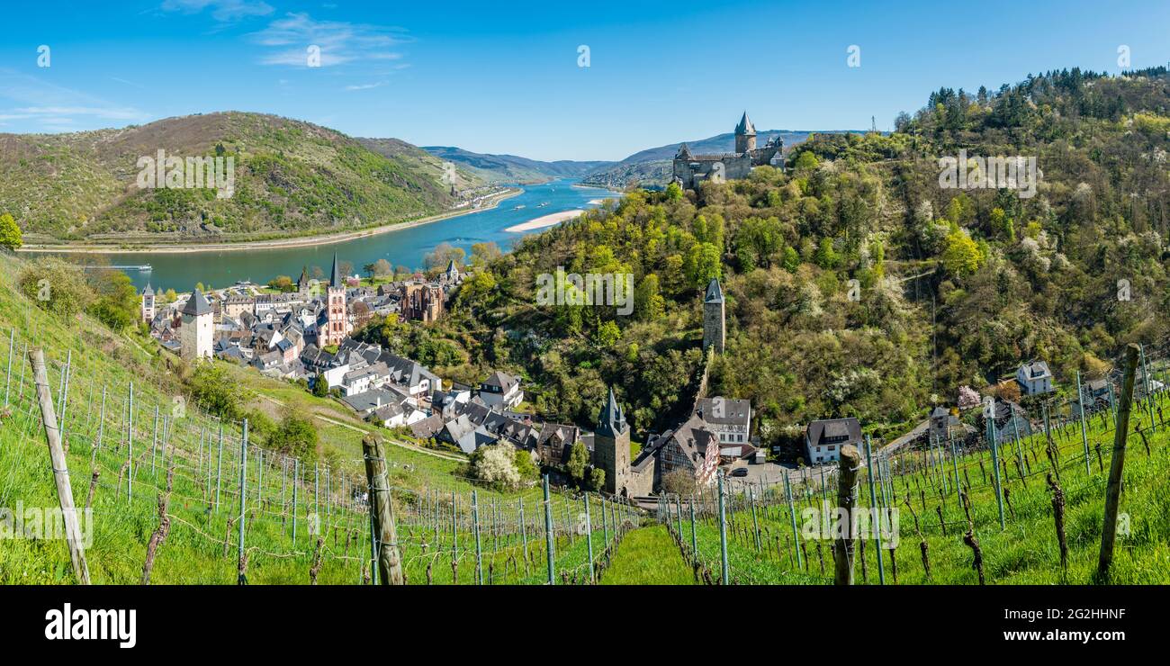 „altes Haus“, Bacharach, Schloss, Schlossweg, Haus Sickingen, Jugendherberge, Kirche, Marktturm, Mittelrhein, Münze, Oberes Mittelrheintal, Postturm, Rhein, Schifffahrt, Sommer, St. Peter, Stadttürme, Stahleck, Steeg, Steegertal, Weltkulturerbe, Weltkulturerbe, Werner-Kapelle Stockfoto