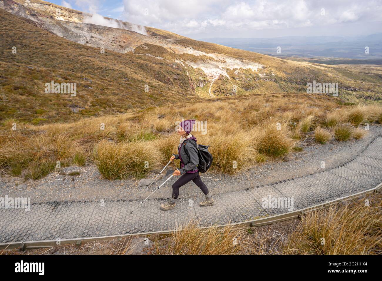 Tongariro durchquert Neuseeland, Wanderweg durch den Tongariro National Park, North Island, Manawatu-Wanganui, Neuseeland Stockfoto