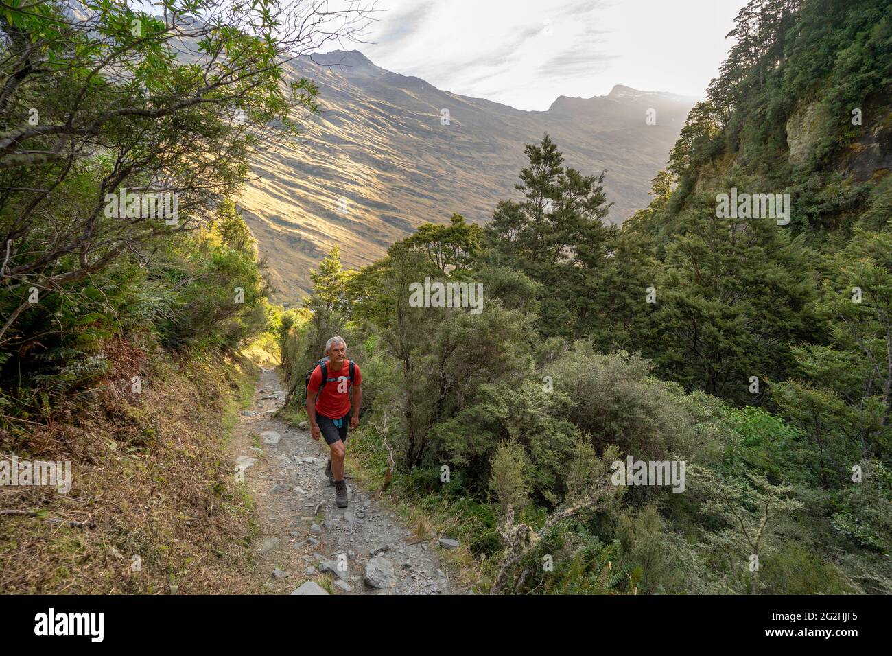 Wandern Sie zum Rob Roy Glacier Lookout, einer beeindruckenden Schlucht mit Blick auf den Gletscher in der Nähe von Wanaka, Südinsel, Queenstown-Lakes District, Neuseeland Stockfoto