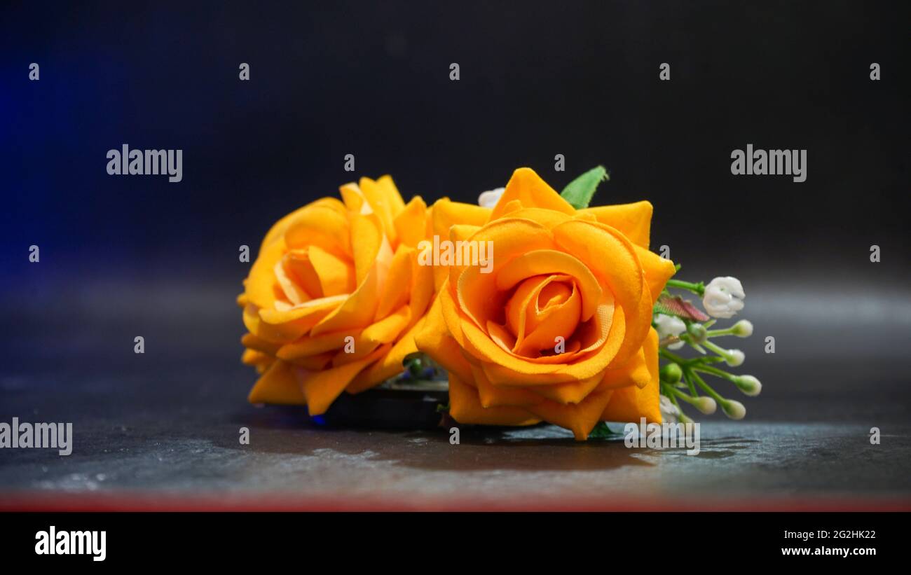 Nahaufnahme von Blumen, die am Morgen blühen Stockfoto