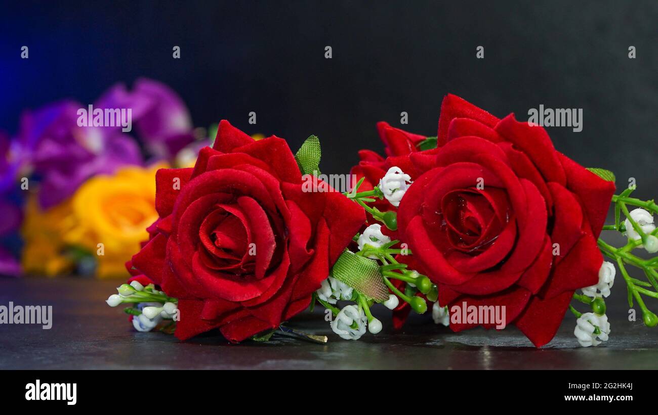 Nahaufnahme von Blumen, die am Morgen blühen Stockfoto