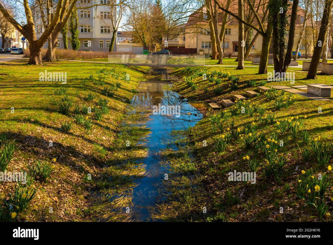 Kleiner schöner Fluss in einem Park im Frühjahr in der Stadt Luckenwalde Stockfoto