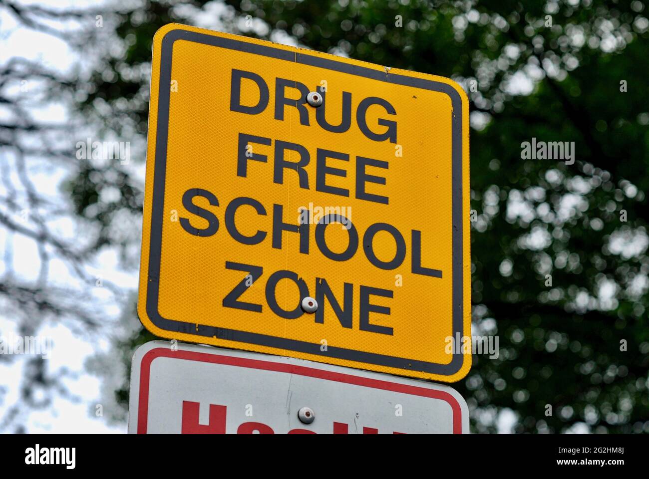 Schild „drogenfreie Schulzone“ auf dem Gelände einer Schule. Stockfoto