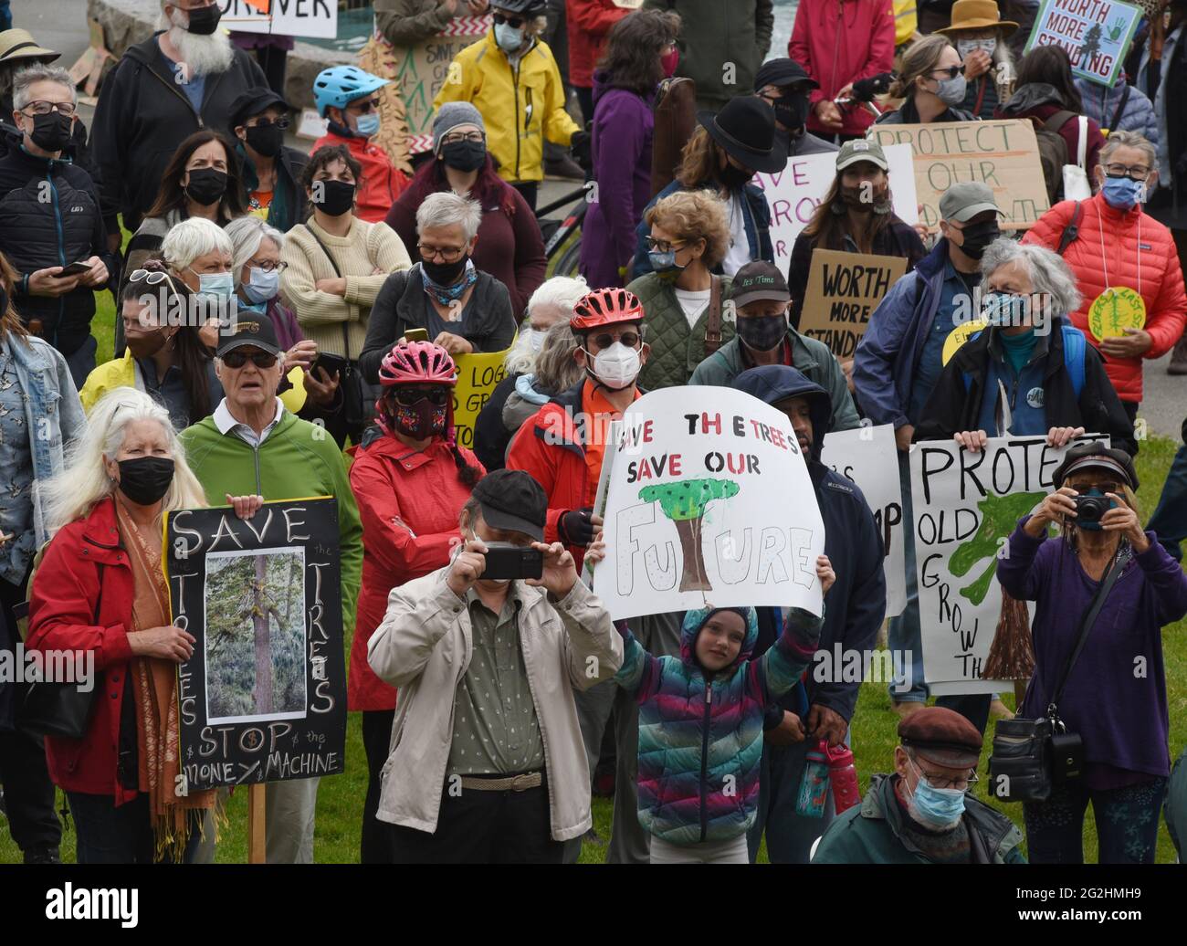 Victoria, British Columbia, Kanada, 11. Juni 2021 - Demonstranten halten auf dem Rasen der British Columbia Legislature Zeichen, um gegen die Abholzung alter Wachstumswälder in der Provinz zu protestieren. Don Denton/Alamy Live News Stockfoto