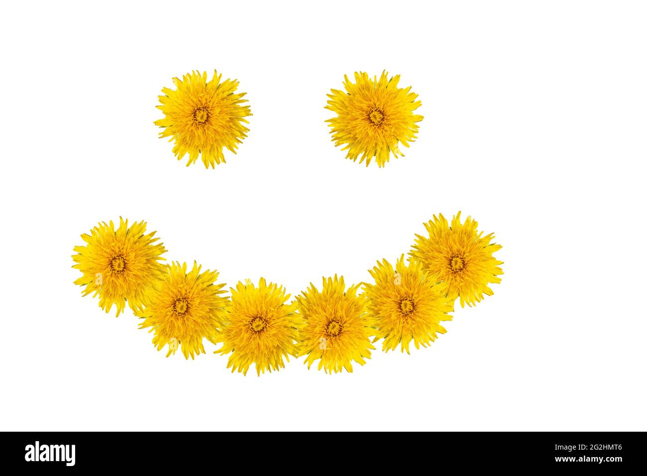 Ein Symbol für Glück, Spaß, Freude, Sommer - Augen und ein Lächeln von leuchtend gelben Blumen-Delelionen isoliert auf weißem Hintergrund, Nahaufnahme. Kann verwendet werden Stockfoto
