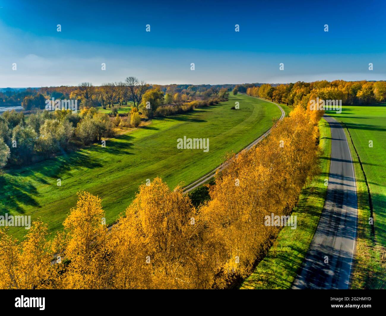 Goldener Herbst auf der Spreeaue Stockfoto