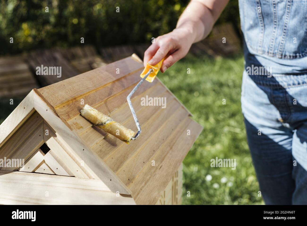 Bio-Imker malt Bienenstöcke mit Leinöl Stockfoto