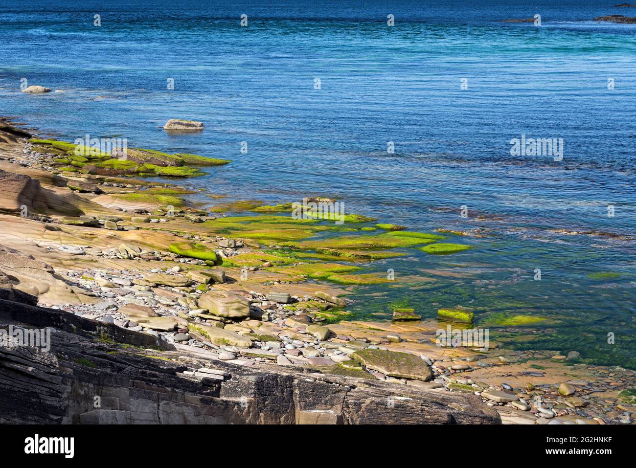 Felsiger Strandabschnitt in Noss Sound, Isle of Bressay, Schottland, Shetland Islands Stockfoto