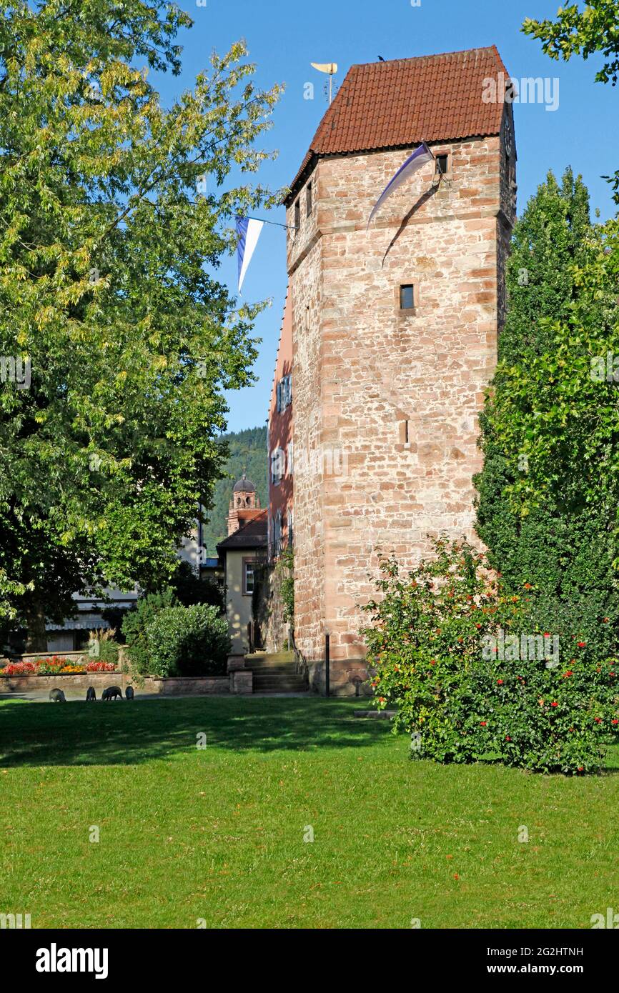 Pulverturm, erbaut im 15. Jahrhundert, Eberbach am Neckar, Baden-Württemberg, Deutschland Stockfoto