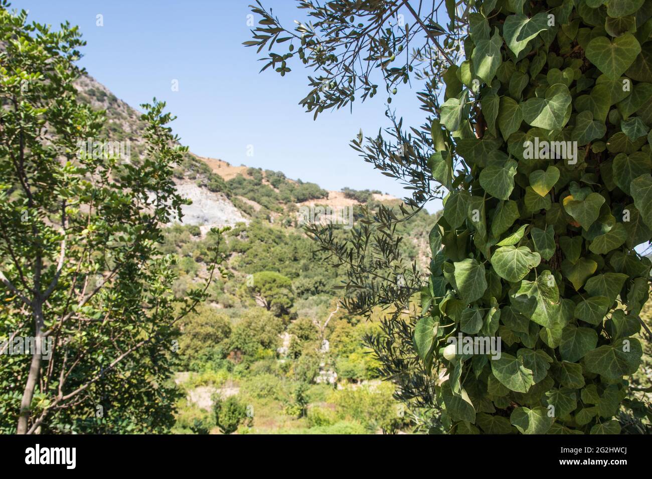 Wilde Landschaft auf der griechischen Insel Kreta, Griechenland. Stockfoto