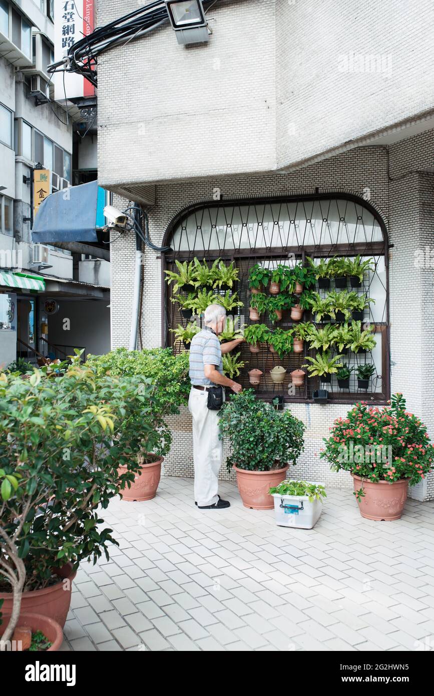 Taipei, Taiwan - 2. Juli 2018: Älterer älterer Mann, der sich um einen kleinen Baum am Fenster kümmert Stockfoto Taipei, Taiwan - 2. Juli 2018: Älterer älterer Mann, der sich um einen kleinen Baum am Fenster kümmert Stockfoto