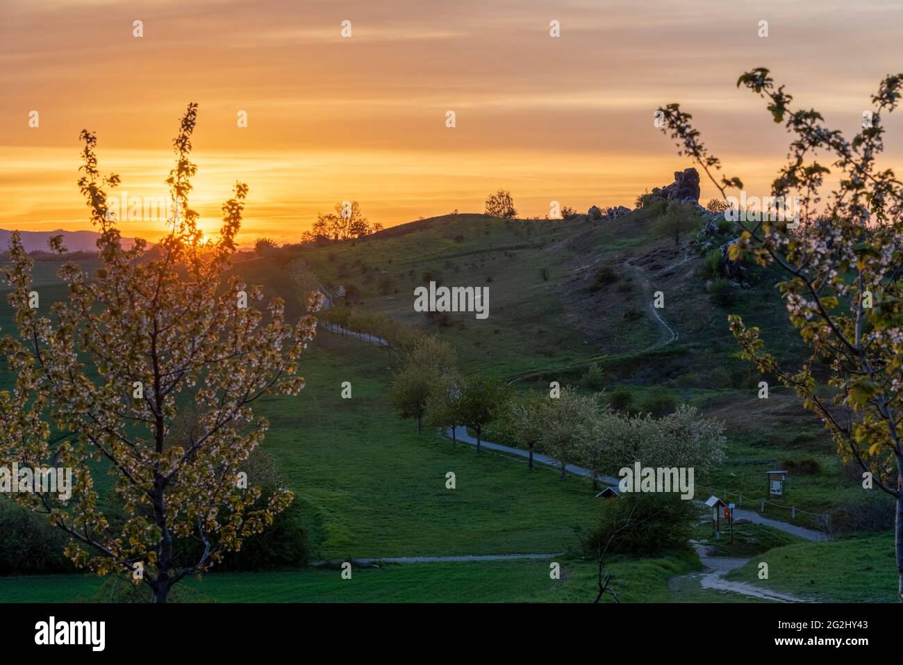 Deutschland, Sachsen-Anhalt, Weddersleben, Sonnenuntergang am Teufesmauer im Harz. Stockfoto