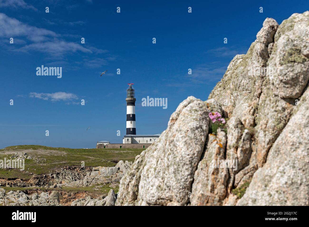 Leuchtturm Créac'h, Île d'Ouessant Frankreich, Bretagne, Département Finistère Stockfoto