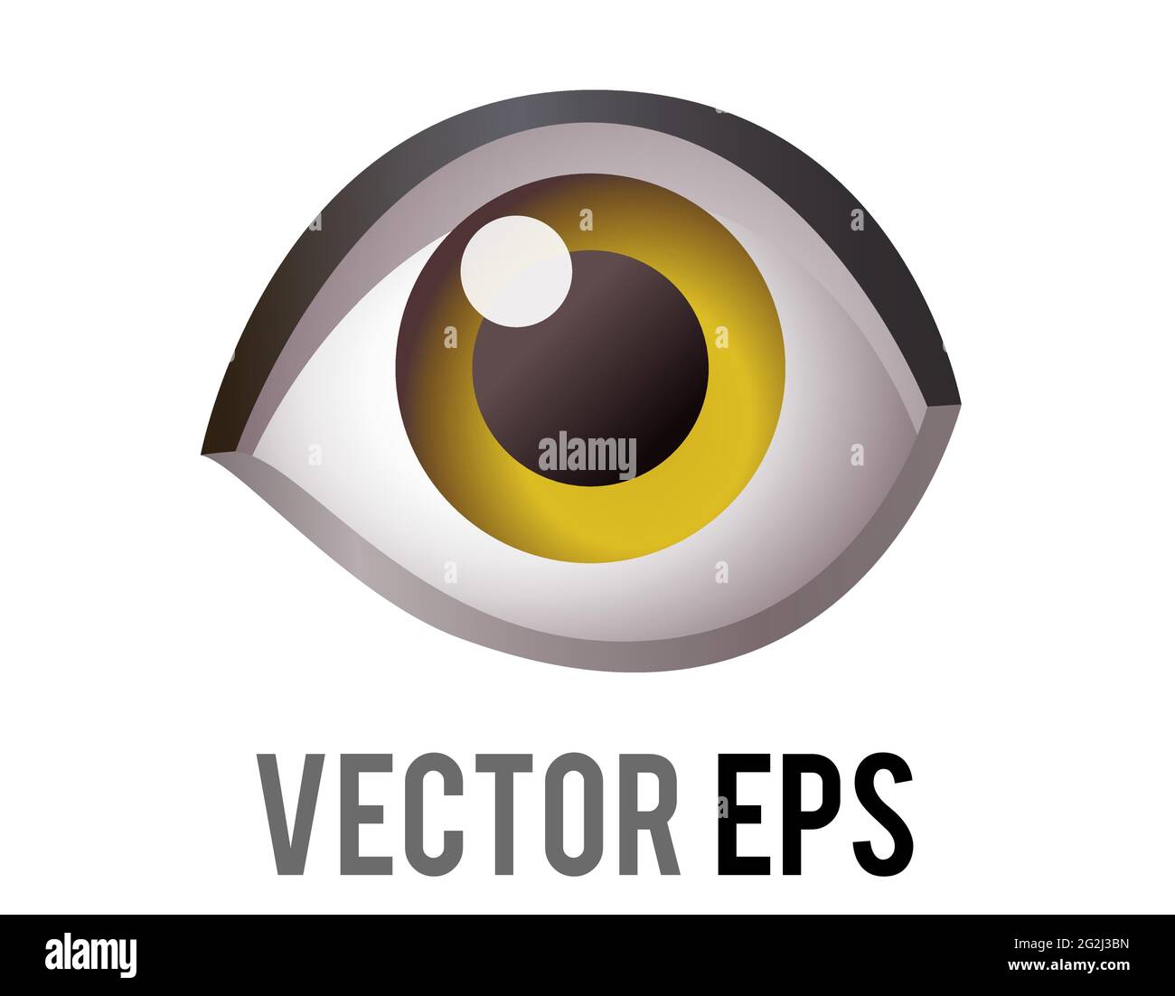 Der isolierte Vektor einzelnes menschliches Auge, Looking Forward Icon Stock Vektor