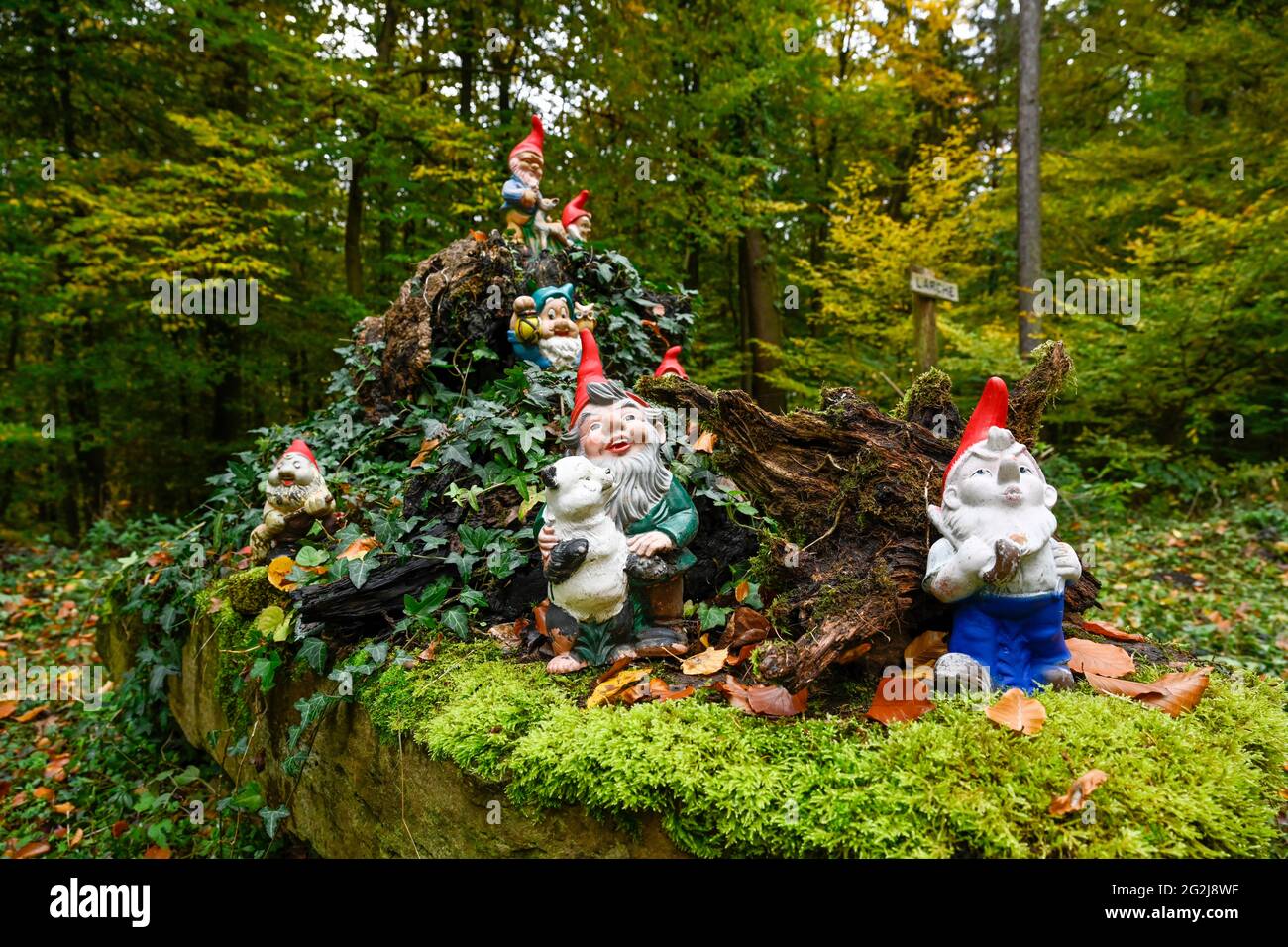 Deutschland, Gartenzwerge an einer Waldhütte. Stockfoto