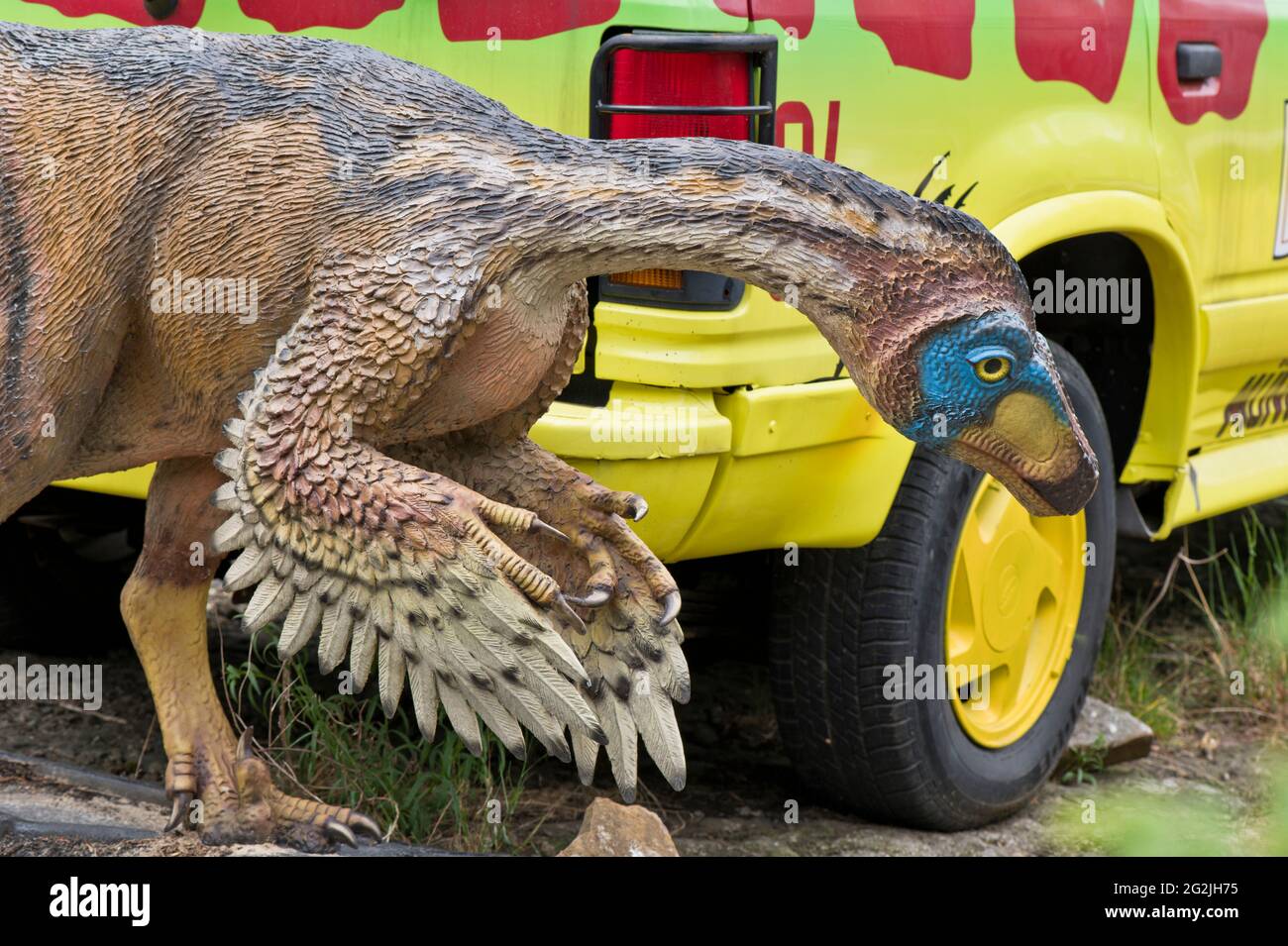 Dinosaur Claw Stockfotos Und Bilder Kaufen Seite 3 Alamy
