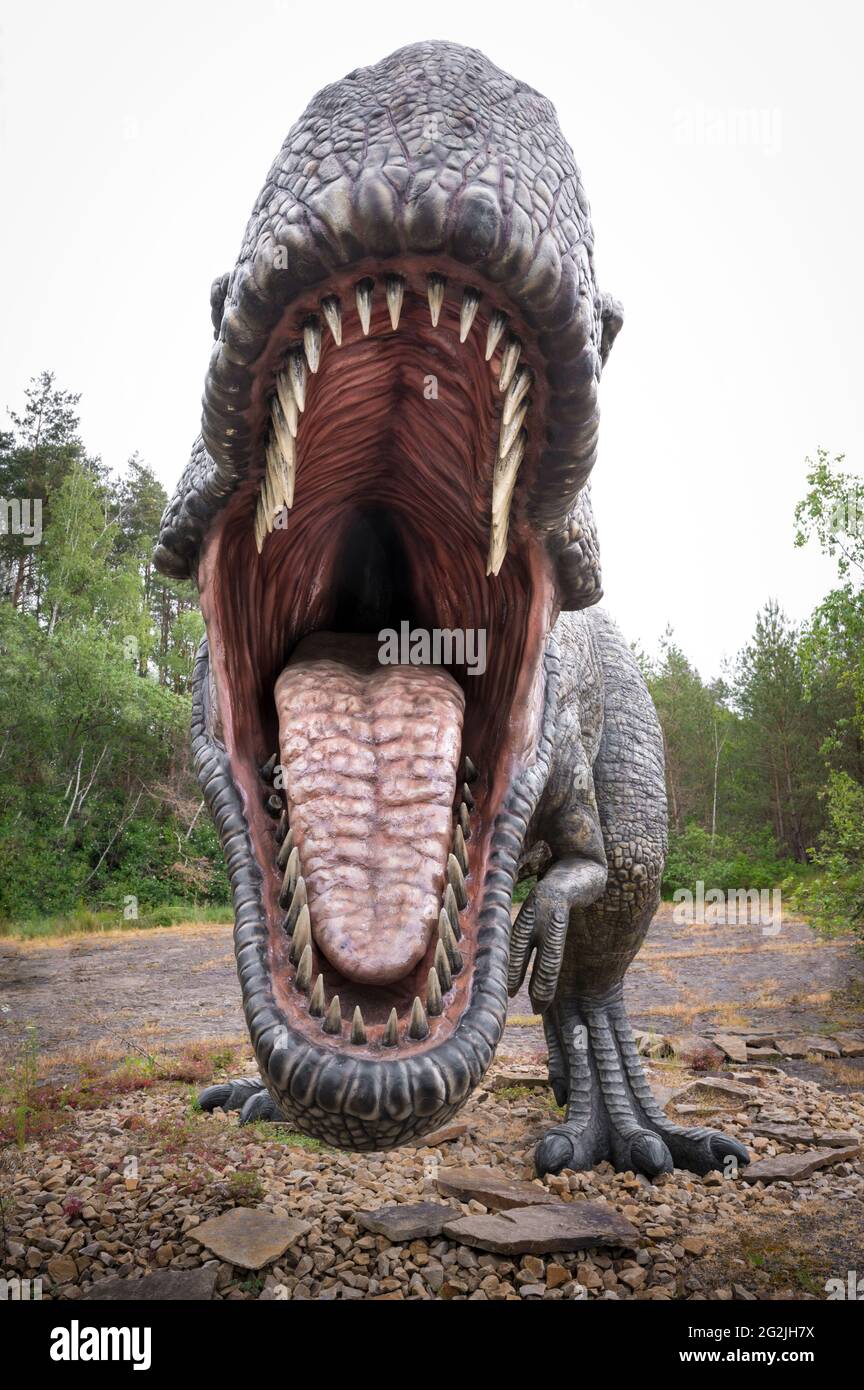 Dinosaurier Tyrannosaurus als Modell im Dinopark Münchehagen bei Hannover. Lebte vor etwa 66 Millionen Jahren in Nordamerika, war etwa 13m lang und wog 6t. Modell: Wild Creations UK / Universal Pictions DE [M] störende andere Dinosaurier wurden retuschiert. Stockfoto