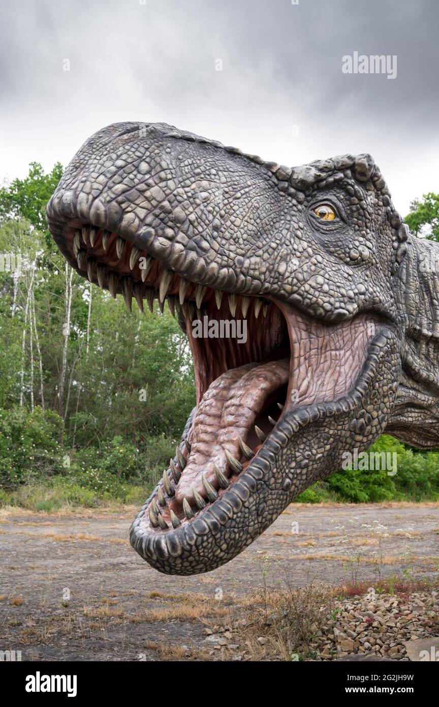 Dinosaurier Tyrannosaurus als Modell im Dinopark Münchehagen bei Hannover. Lebte vor etwa 66 Millionen Jahren in Nordamerika, war etwa 13m lang und wog 6t. Modell: Wild Creations UK / Universal Pictions DE [M] störende andere Dinosaurier wurden retuschiert. Stockfoto