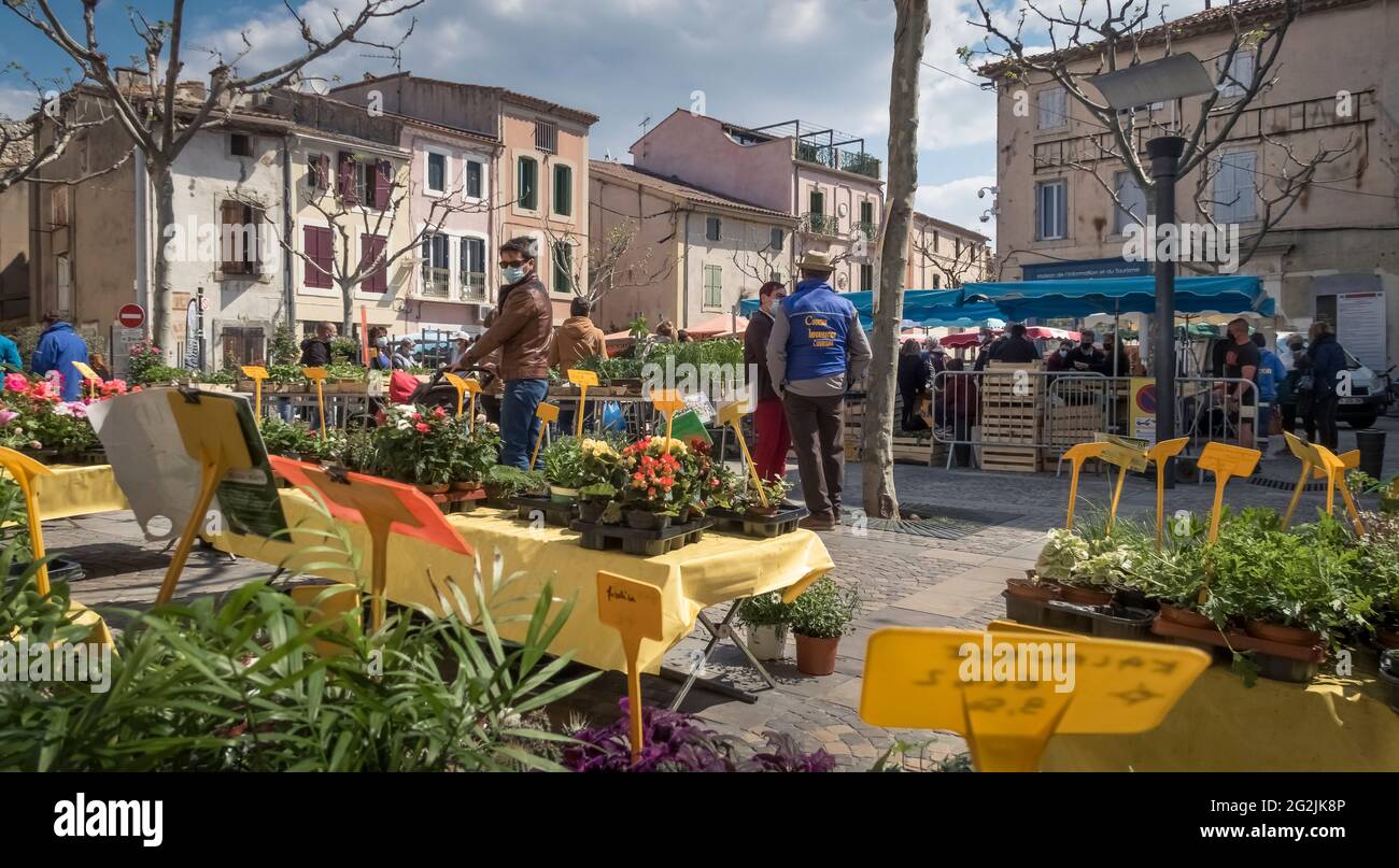 Blumenmarkt in Coursan im Frühjahr. Stockfoto