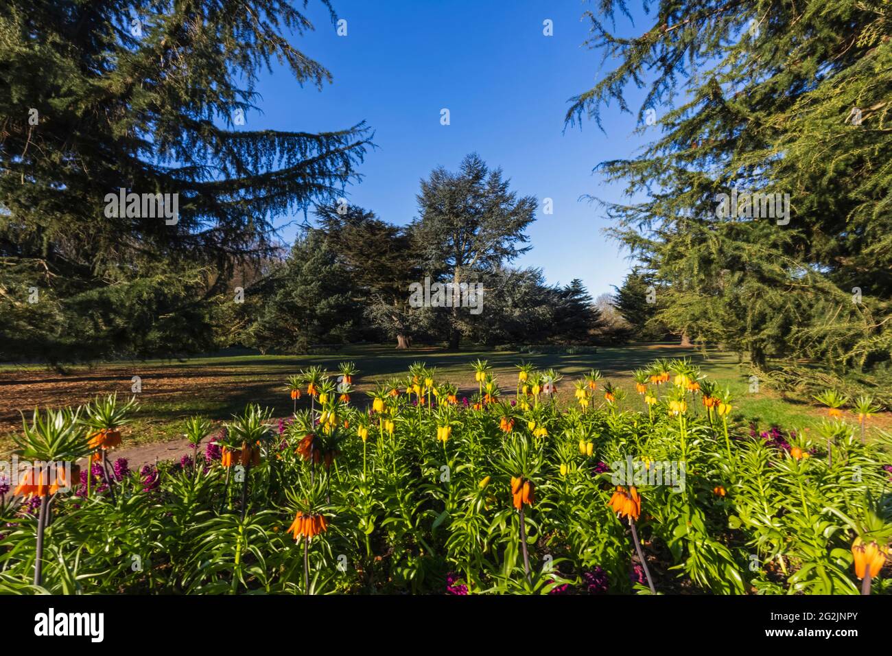 England, London, Greenwich, Greenwich Park, The Flower Garden, Blumen in Blüte und Bäume Stockfoto