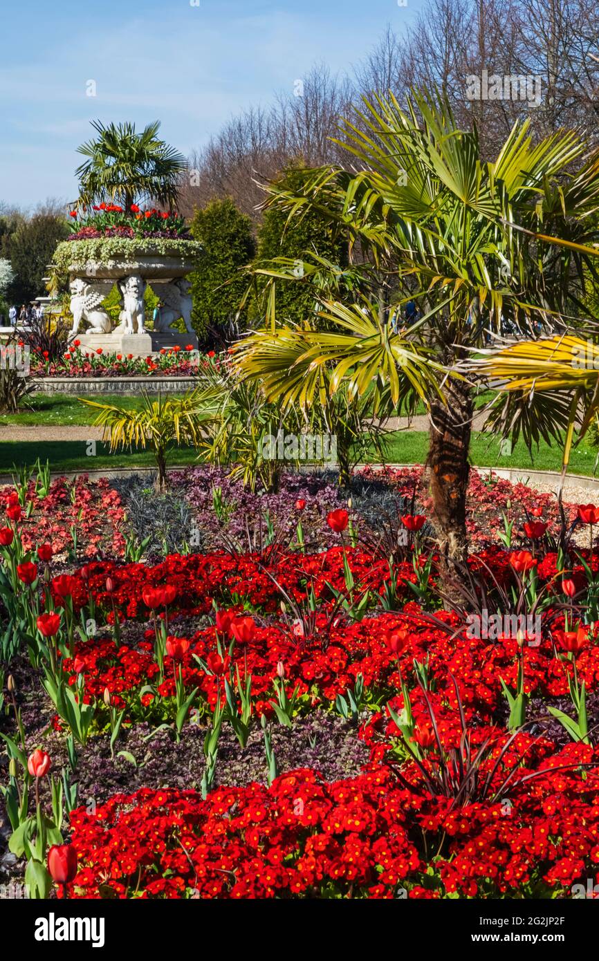 England, London, Regent's Park, Avenue Gärten, die Griffin Tazza (Lion Vase) und Frühlingsblumen Stockfoto