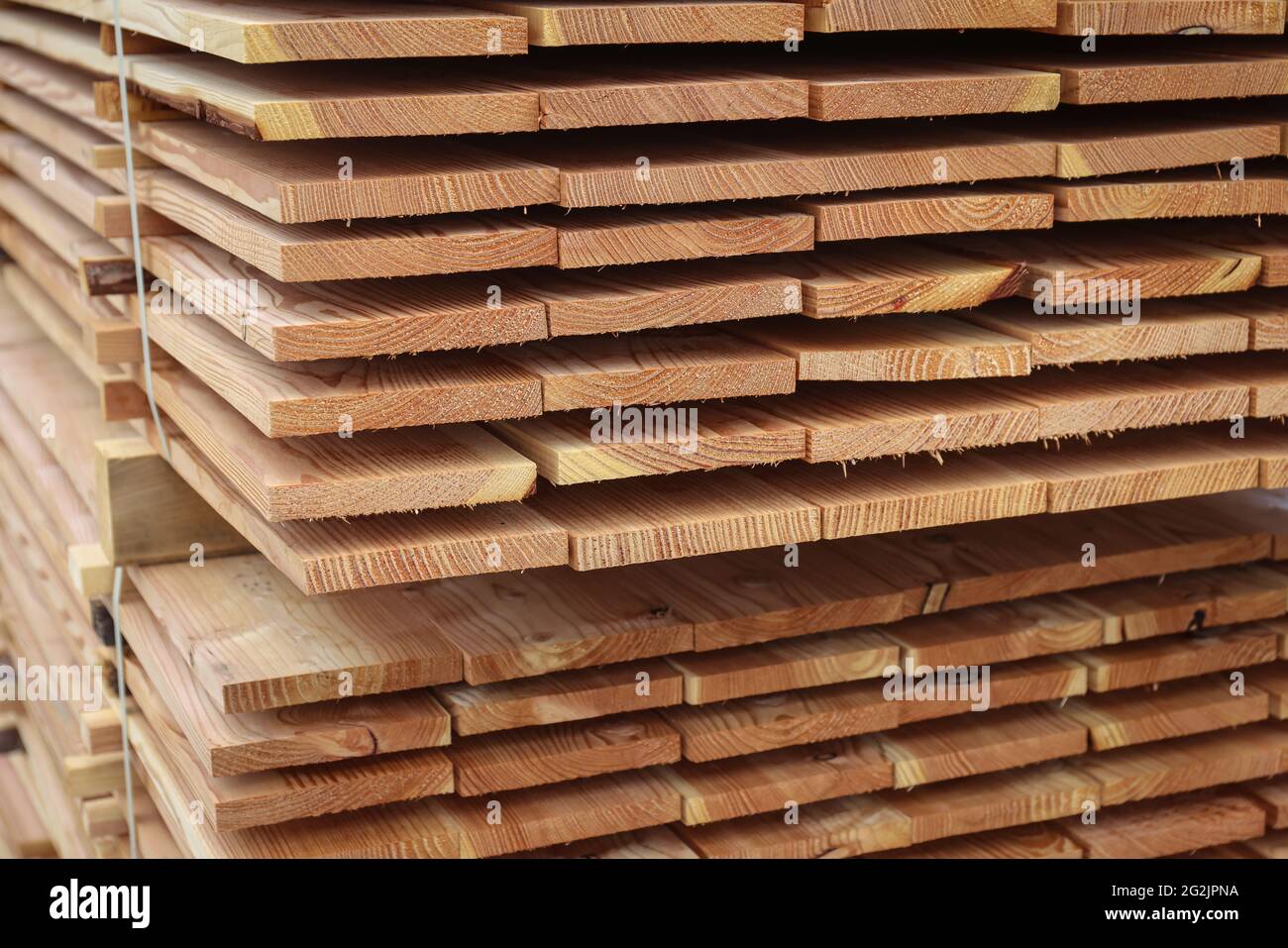 Solingen, Nordrhein-Westfalen, Deutschland - Laerchenstaemme werden zu Bauholz verarbeitet, Bauholz ist knapp und teuer, Tischler und Tischlereien kämpfen in Zeiten der Koronakrise mit rasant steigenden Rohstoffpreisen, große Mengen von Baumstämmen werden nach China und in die USA exportiert. Stockfoto