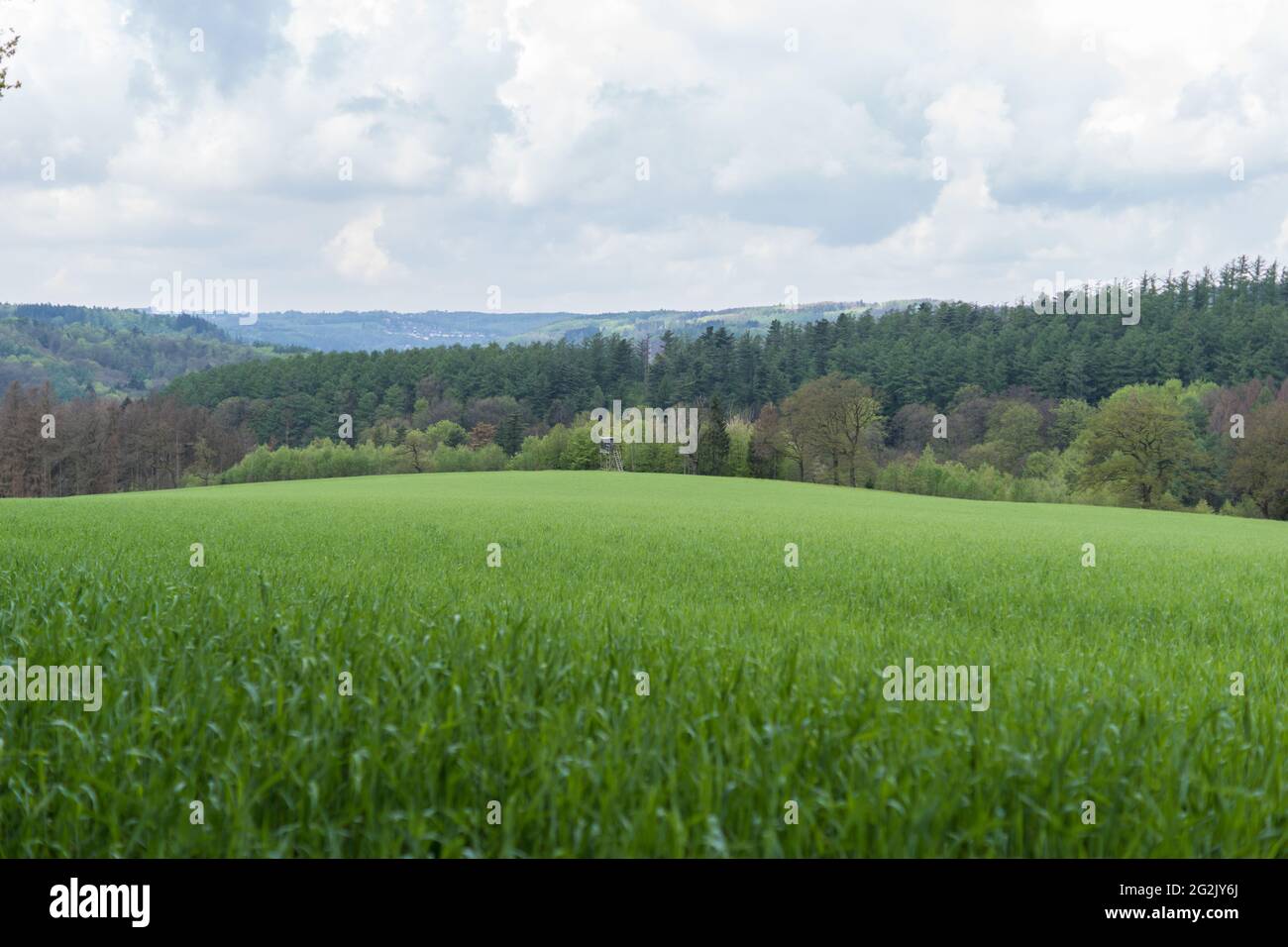 Landschaft im Bergschen Land, Remscheid, Wuppertal, Nordrhein-Westfalen. Stockfoto