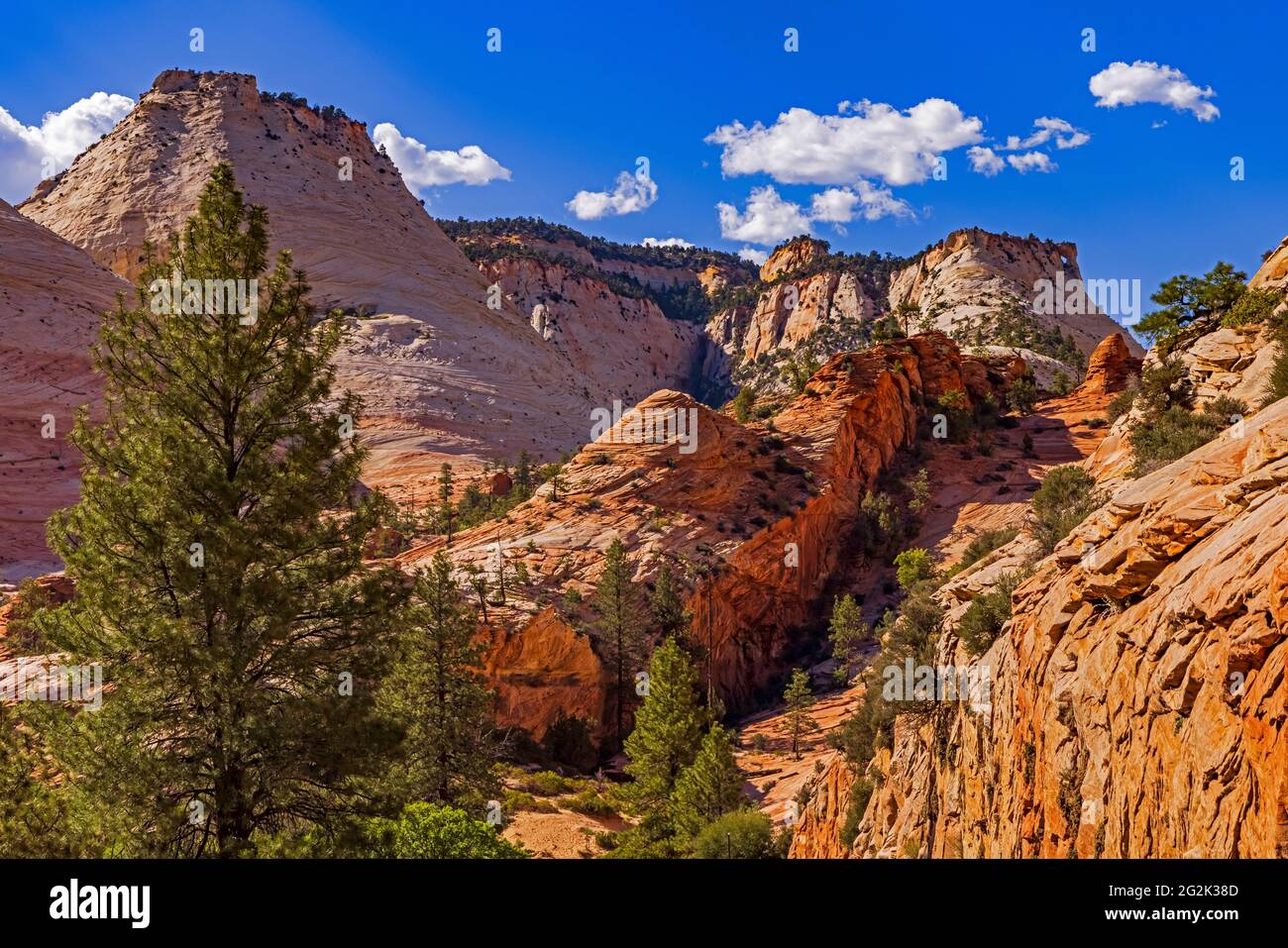 Dies ist Blick auf die spektakulären Farben der Canyon Wände entlang der State Route 9, der Zion-Mt. Carmel Scenic Drive im Zion National Park, Springdale, UT. Stockfoto